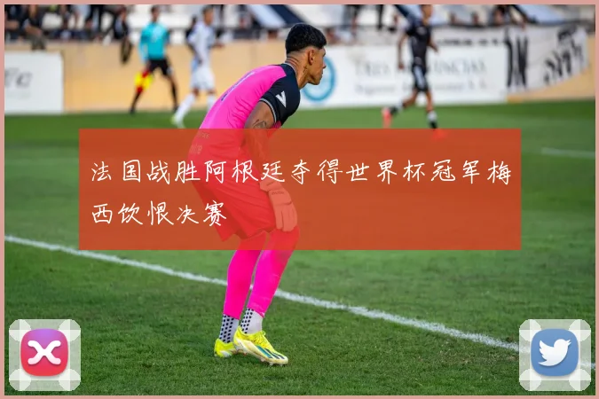 法国战胜阿根廷夺得世界杯冠军梅西饮恨决赛