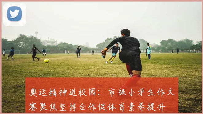奥运精神进校园：市级小学生作文赛聚焦坚持合作促体育素养提升