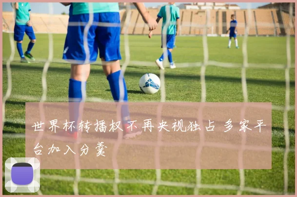 世界杯转播权不再央视独占 多家平台加入分羹