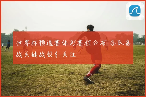 世界杯预选赛体彩赛程公布 各队备战关键战役引关注