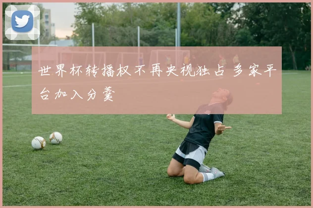 世界杯转播权不再央视独占 多家平台加入分羹